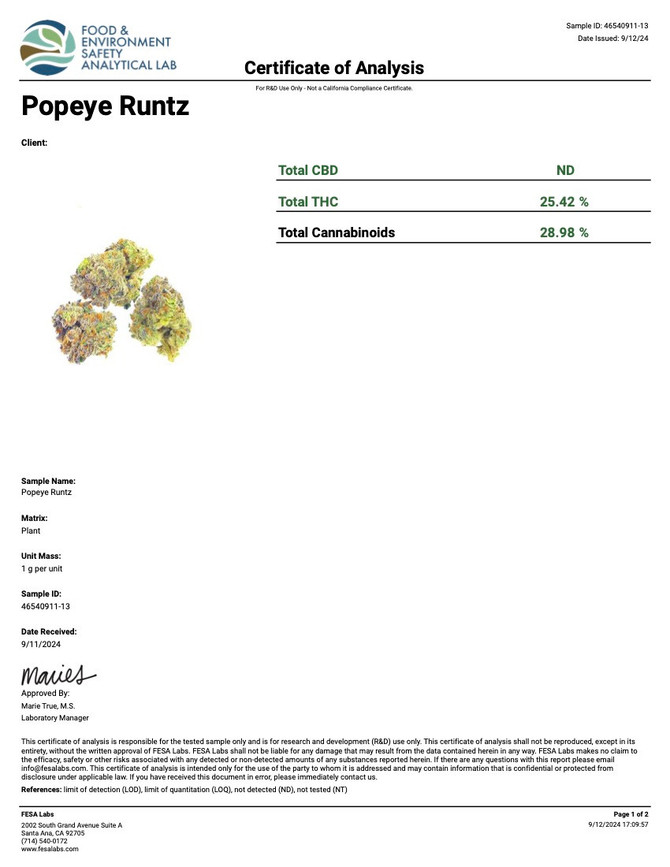 Popeye Runtz Strain | THCA Flower 1 LB (old and ugly)
