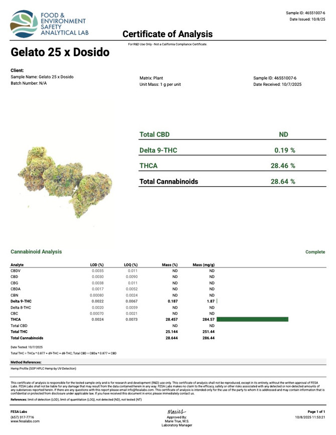 Gelato 25 x Dosido - Exotic THCA Flower - 3.5g