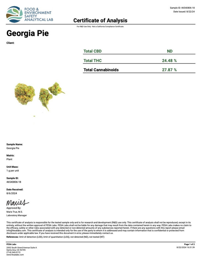 Georgia Pie Strain