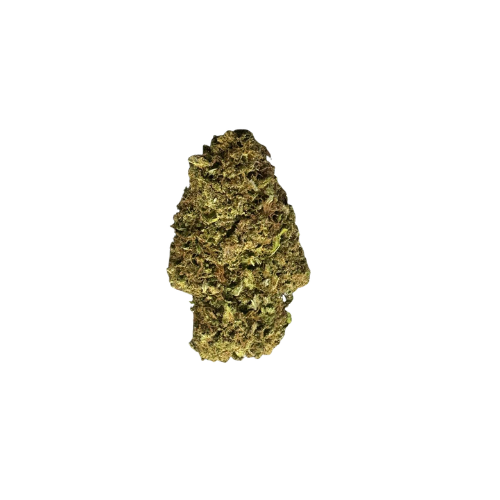 Mimosa Strain