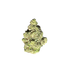 candy burst strain