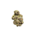 Grape Gelato Strain