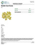 COA of Bubble Gum Runtz Weed Strain