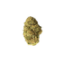 Papaya Punch Strain