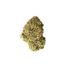 Sunset Sherbert Strain old and ugly bud