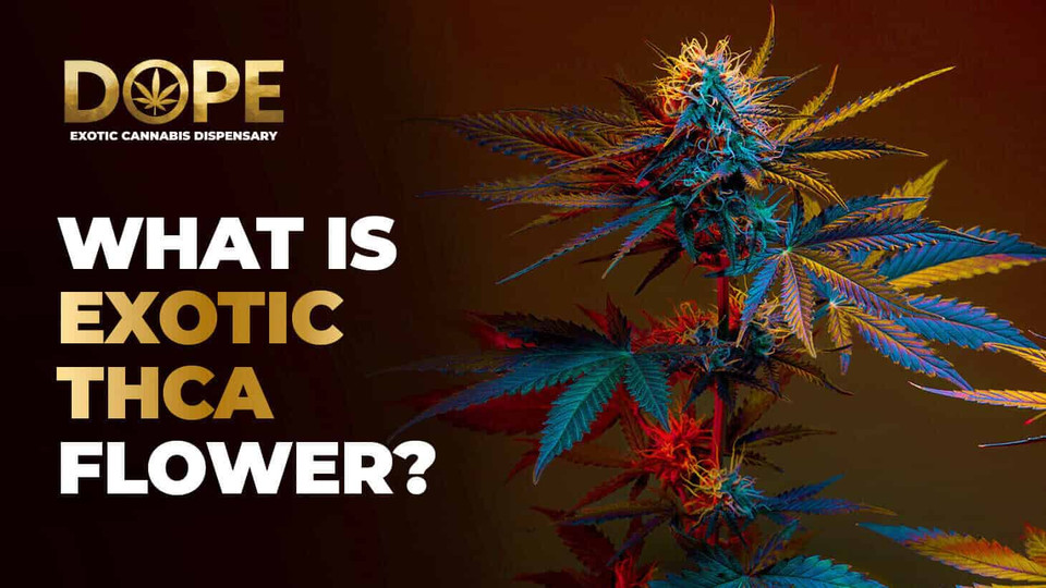 What is Exotic THCA Flower?