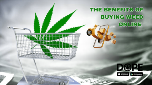 How To Know If An Online Dispensary Is Legit Top Legit Online Dispensary Shipping Worldwide - Dope