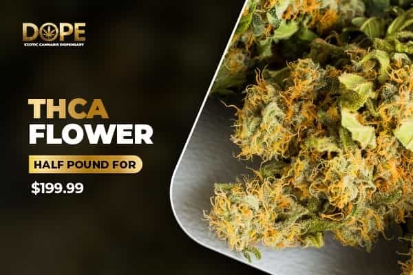 Half Pound THCA Flower for $199.99