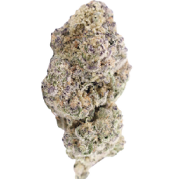 Hybrid Strains