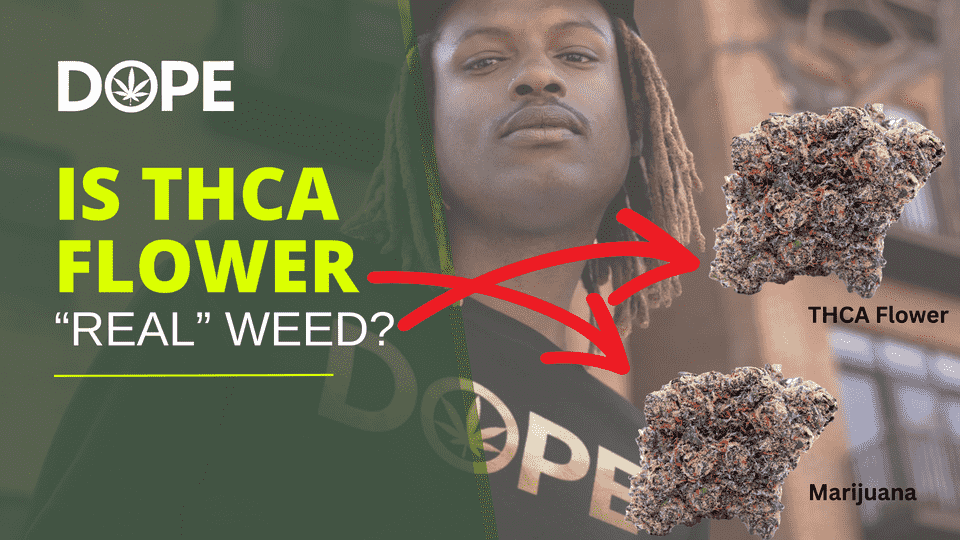 What is THCA Flower?