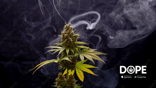 Legit Online Dispensaries Ship All 50 States Reviews Top Legit Online Dispensary Shipping Worldwide - Dope