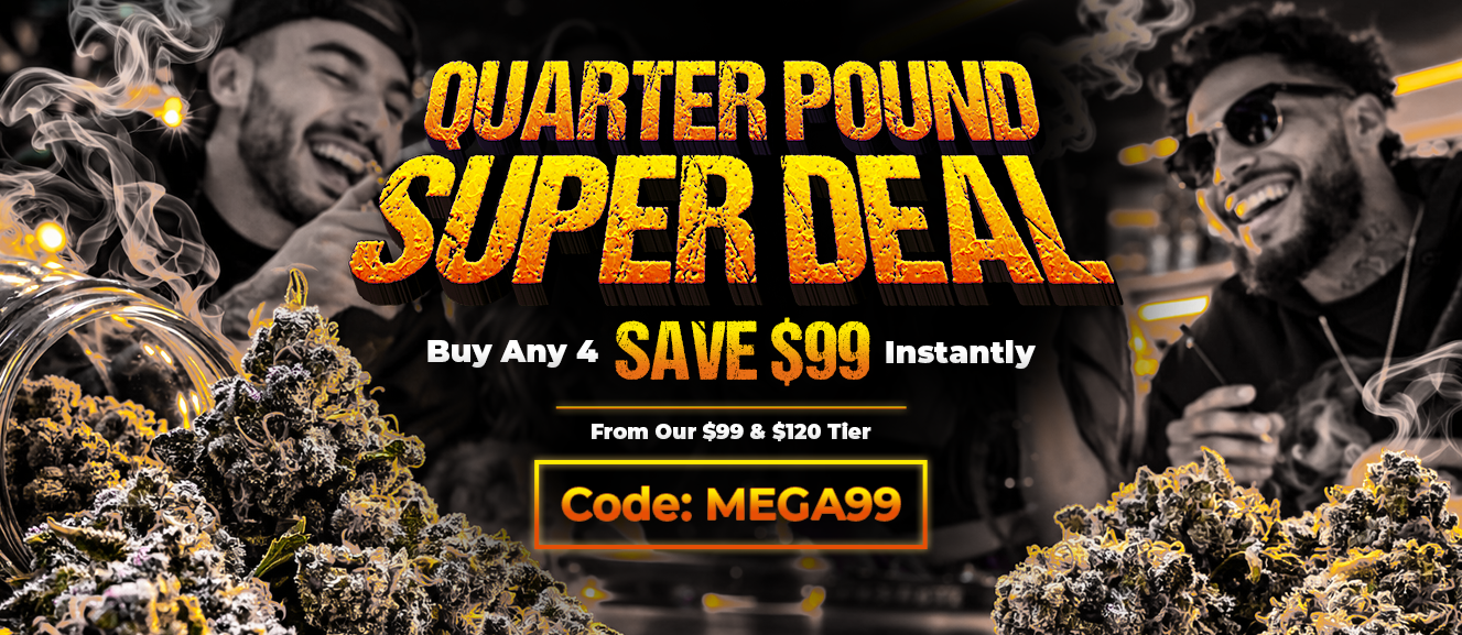 FREE $99 QP MEGA DEAL