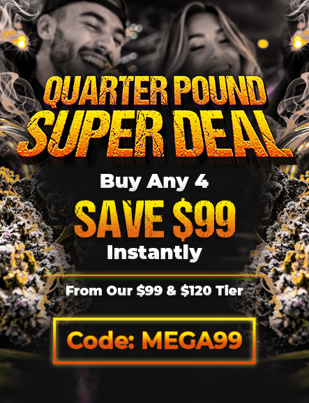 FREE $99 QP MEGA DEAL
