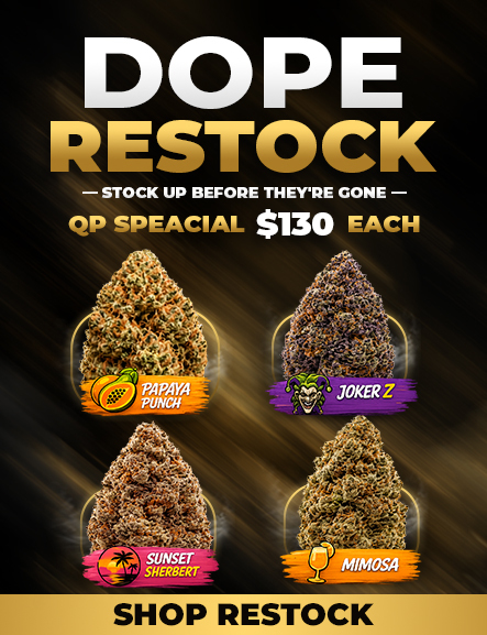 Restock $130/qp