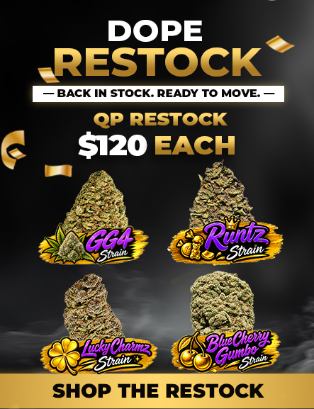 Restocked $120/QP