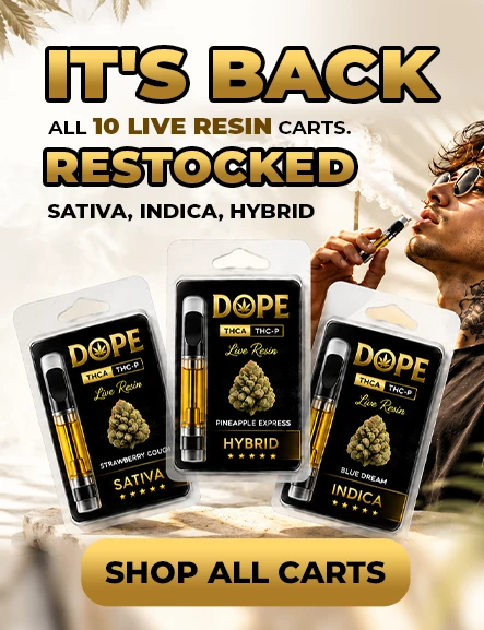 THCA Gummies Are Back