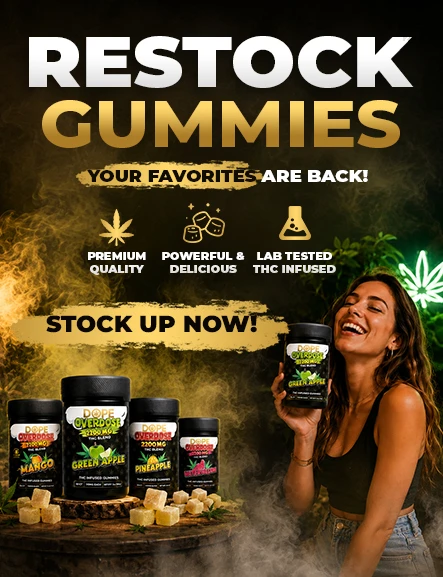 THCA Gummies Are Back