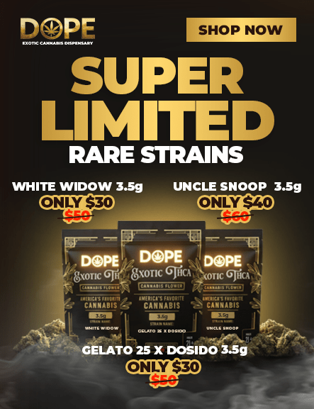 THCA Flower Clearance OZ - Uncle Snoop, White Widow, and Gelato 25 x Dsido on Sale only at the Dopest Shop