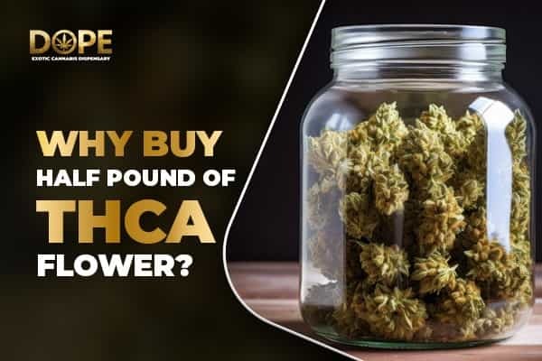 Why buy Half Pound of THCA Flower?