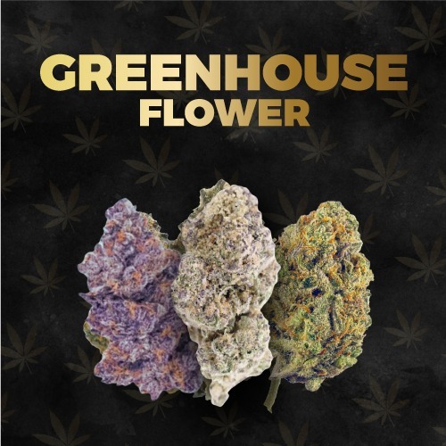 Greenhouse THCA Flower