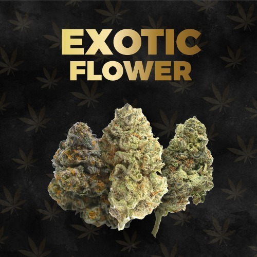 Exotic THCA Flower
