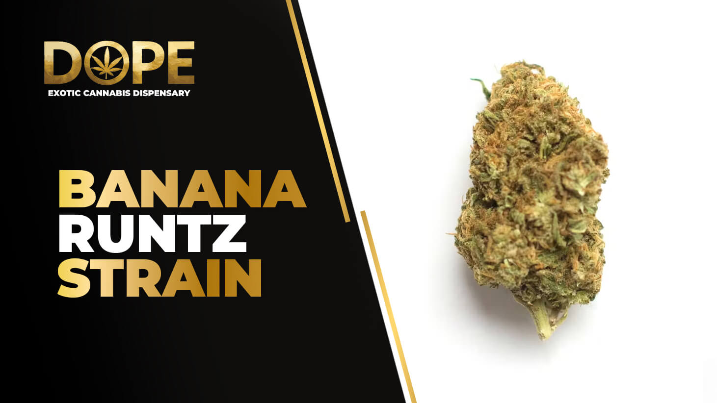 Banana Runtz Strain Review | Sweet Flavor & Effects - Dope