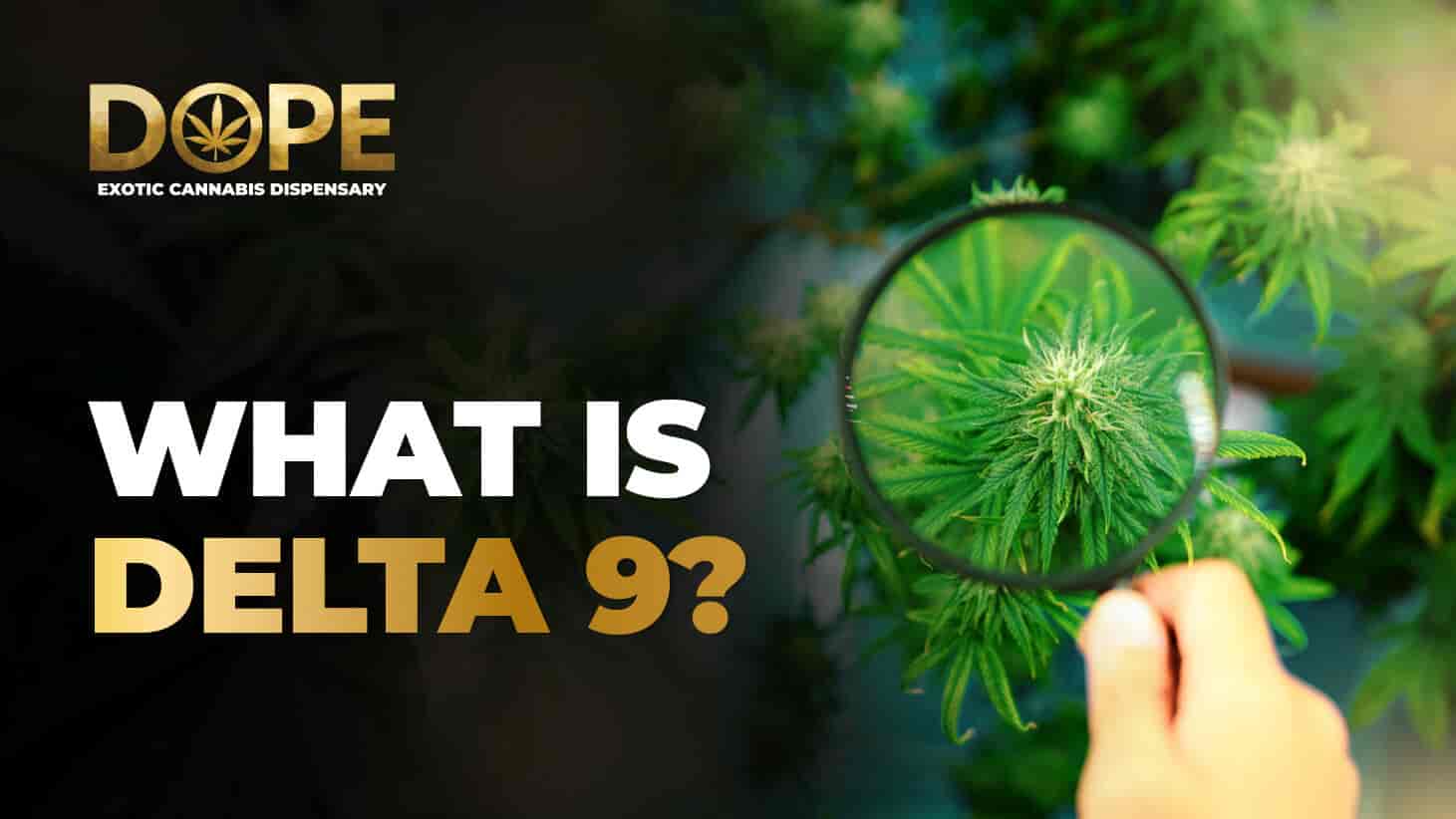 What Is Delta-9 THC? Effects, Benefits, and Risks Explained - Dope