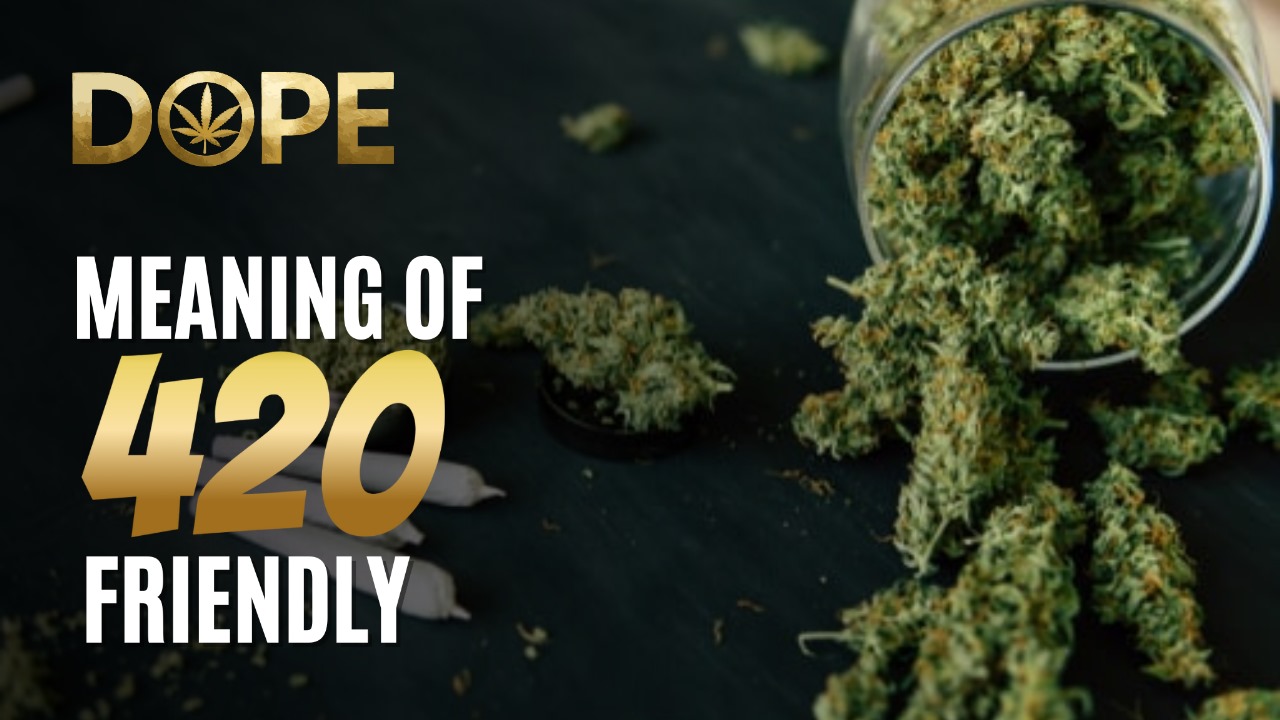 What Does 420 Friendly Mean From Slang To Cannabis Identity Dope what-does-420-friendly-mean-from-slang-to-cannabis-identity-dope
