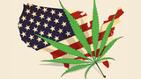 States with Cannabis Policy at Stake in the 2024 Presidential Election