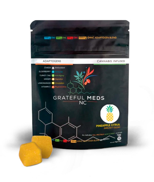 Grateful Meds | Functional Mushroom Canna Gummy | Pineapple Citrus | CBD + THC + Immunity Blend | 2 Count