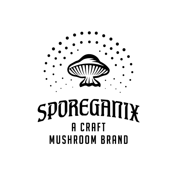 Brand 4