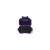 LoadOut GoBox 1 Gear Case Pace Purple