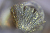 Hook Or By Crook Nail Polish, close-up of a nail polish brush with black glitter and yellow holographic specks.