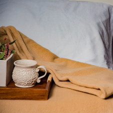 Fleece Blankets 90x90" Queen Size Tan Color ( 4 Pieces) Fleece Blankets 90x90" Queen Size Tan Color ( 4 Pieces)