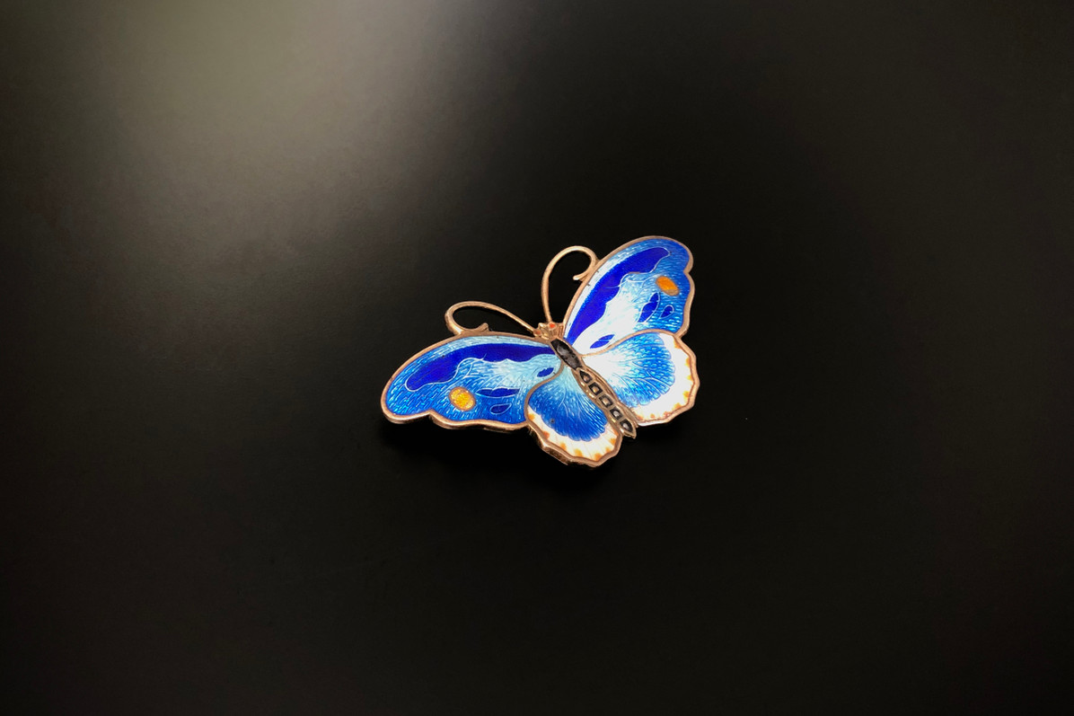 Enamel and Sterling Silver Butterfly Brooch
