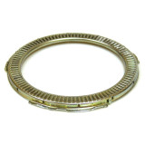 Pole Ring BPW TSB3709 100 Tooth - AU55853