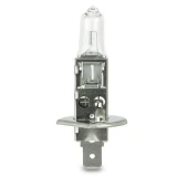 Hella Bulb H1 24V 100W P14.5S - C24100