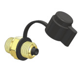 Brass Imperial Test Point With Cap 3/8" NPTF - GP-3405-06
