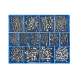 Champion S/T Screws Assortment  S/Steel 415pc - CA1810