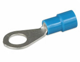 Hella Terminals 6.3 Blue Eye PK100 - 8544