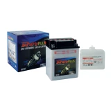 Revplus Motorcycle Battery 260CCA 12V (Assy C) &AP
 - S50N18L-A2