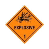 DG Label SAV 250 x 250 Explosive - DGP-1