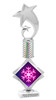 Snowflake theme trophy. Choice of artwork and trophy height. Great for all of your holiday events and contests.  5061