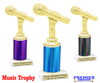 Great for your karaoke, singing contests, talent competitions and more!  Choice of color and trophy height. 