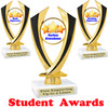 Student award  trophy. 6" tall.  9 Designs available. (4516
