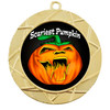 Pumpkin carving/decorating theme medal.  Choice of 9 categories.  Includes free engraving and neck ribbon  (940g