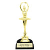 Dance trophy.  Great trophy for dance recitals, contests, or your favorite ballerina.  Choice of base.  Dance trophy.  6" to 8" tall  Great for your squads, teams, schools, and more. f3391