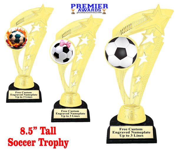 Soccer trophy.  Soccer figure with choice of soccer design.  Black horseshoe shape base.  ph113