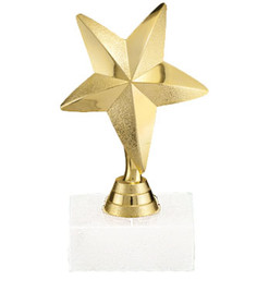 3.5" Star Trophy (9704)