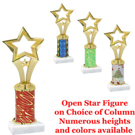 Star on choice of  column.  Numerous trophy heights and column choice available